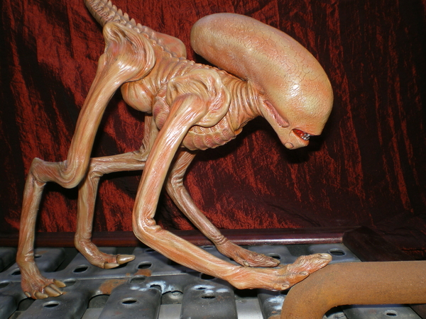 Alien Dog 1/1.